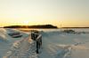 20100101_120827.jpg - 2010:01:01 12:08:27