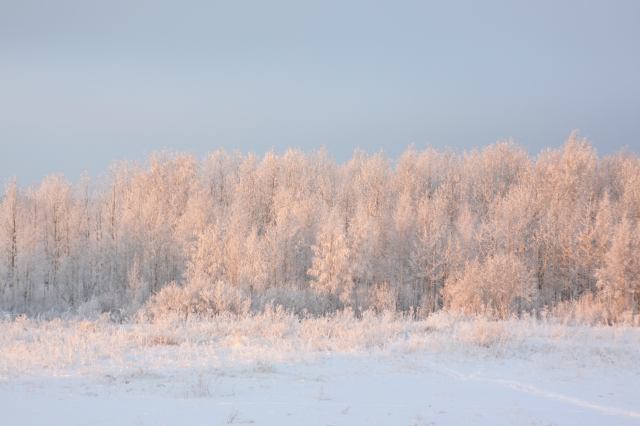 * Image 1