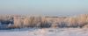 20100118_075108_sm.jpg - 2010:01:18 07:51:08