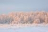20100118_072141_tn.jpg - 2010:01:18 07:21:41