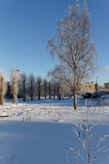 * Image 5