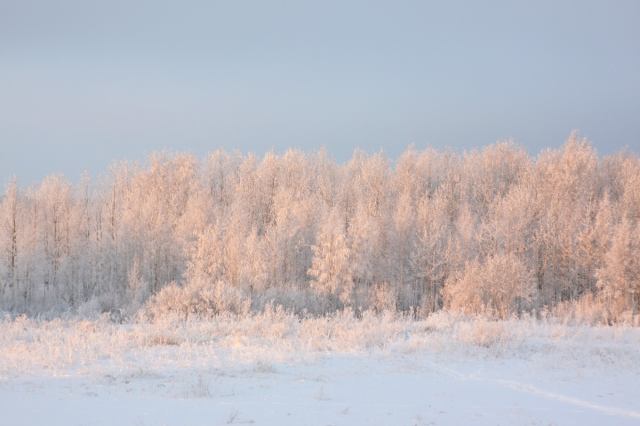 * Image 1