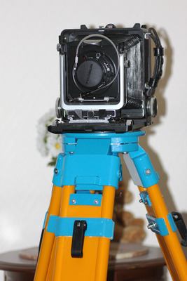 * Image 2