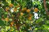 20100315_001005_tn.jpg - 2010:03:15 00:10:05