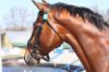 20100503_094252_tn.jpg - 2010:05:03 09:42:52