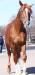 20100503_091830_tn.jpg - 2010:05:03 09:18:30