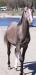 20100503_091114_tn.jpg - 2010:05:03 09:11:14