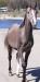 20100503_091114_sm.jpg - 2010:05:03 09:11:14