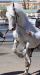 20100503_103523_sm.jpg - 2010:05:03 10:35:23