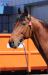 20100503_104754_sm.jpg - 2010:05:03 10:47:54