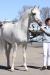 20100503_090847_tn.jpg - 2010:05:03 09:08:47