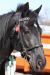 20100503_100247_sm.jpg - 2010:05:03 10:02:47