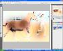 20100508_165441_sm.jpg - 