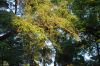 20100531_174707_sm.jpg - 2010:05:31 17:47:07