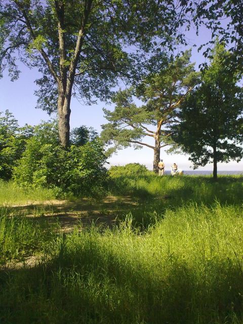 * Image 1