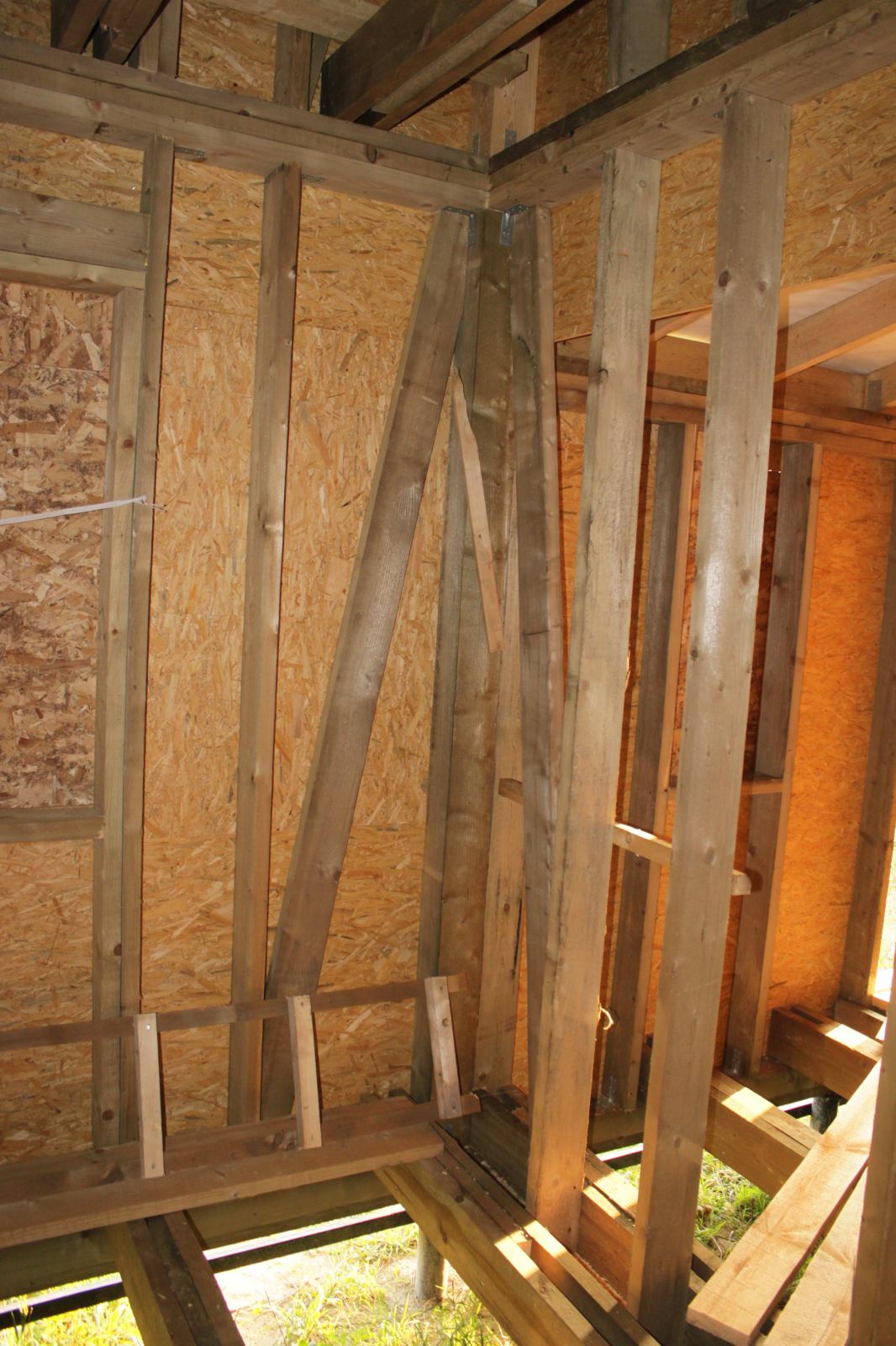 * Image 21