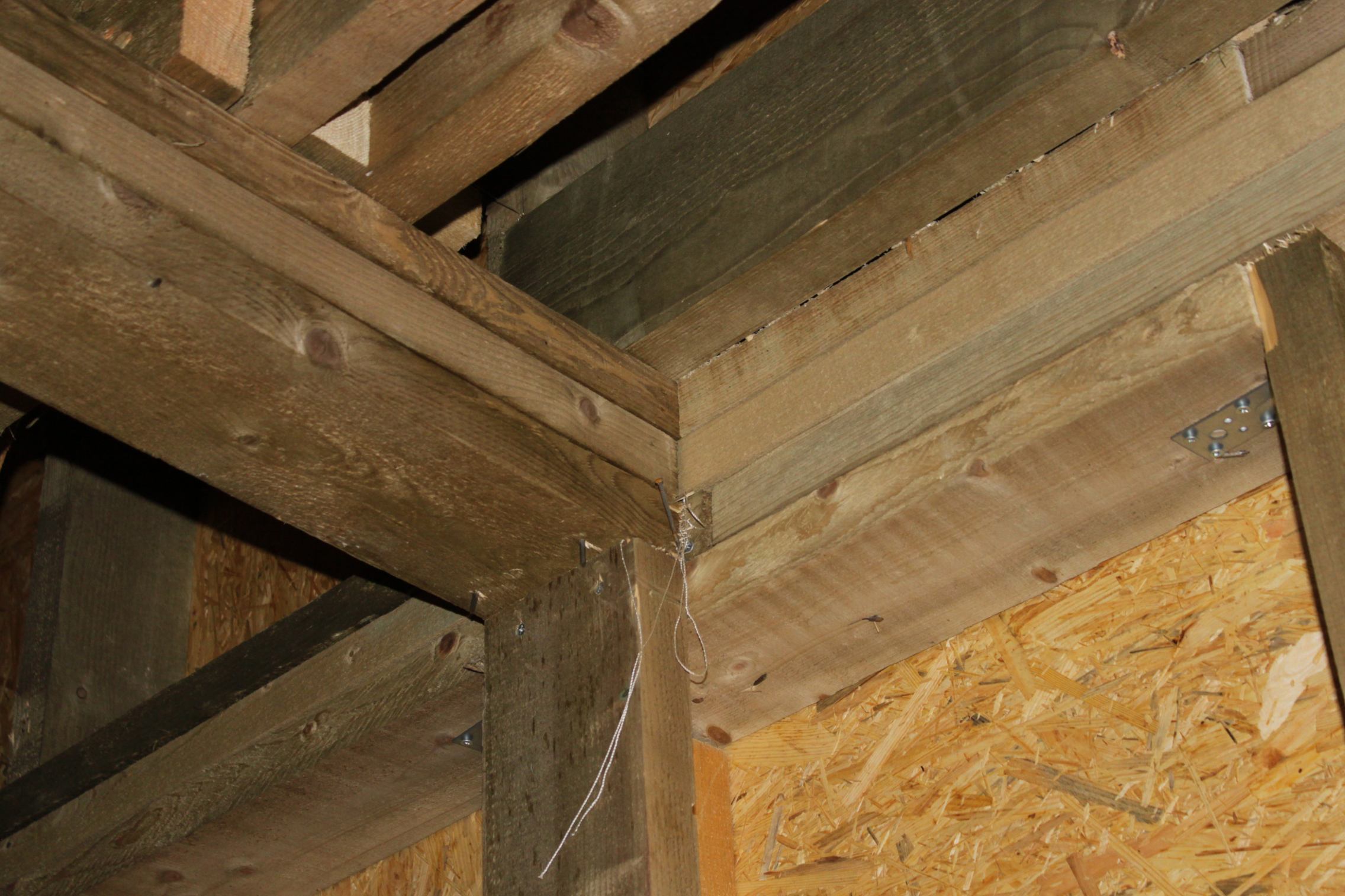 * Image 92