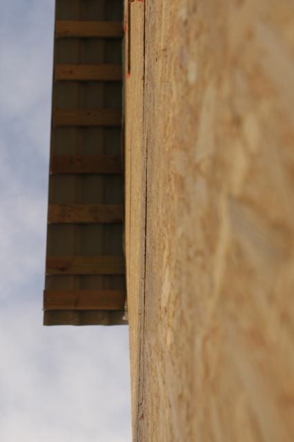 * Image 3
