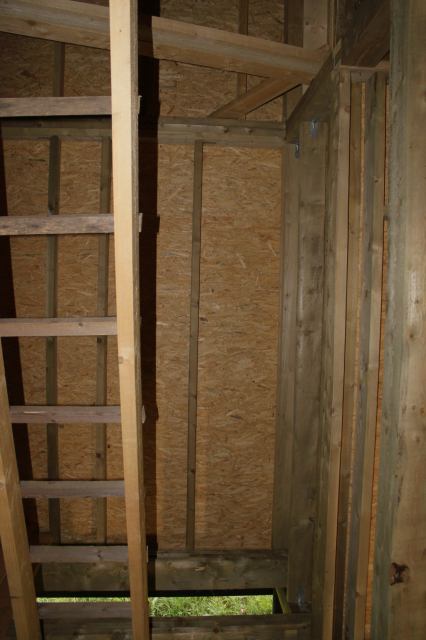 * Image 39