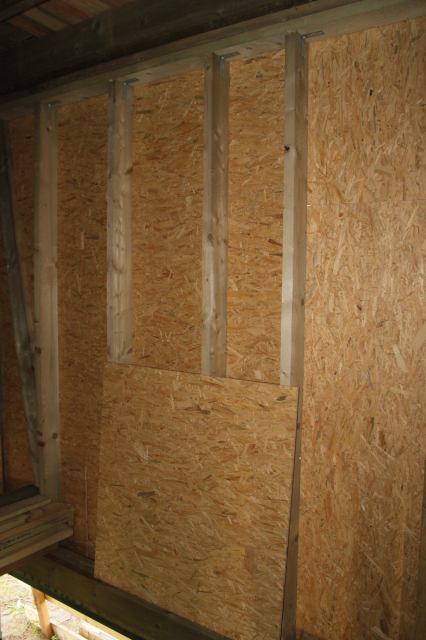 * Image 46
