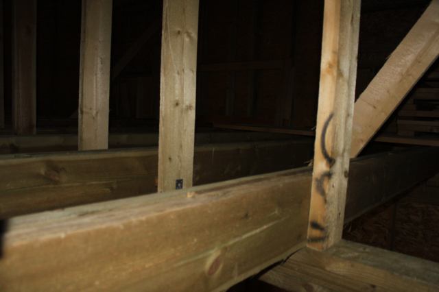 * Image 58