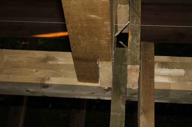 * Image 94