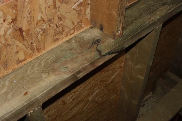 * Image 96