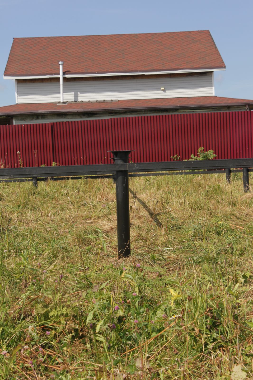 * Image 5