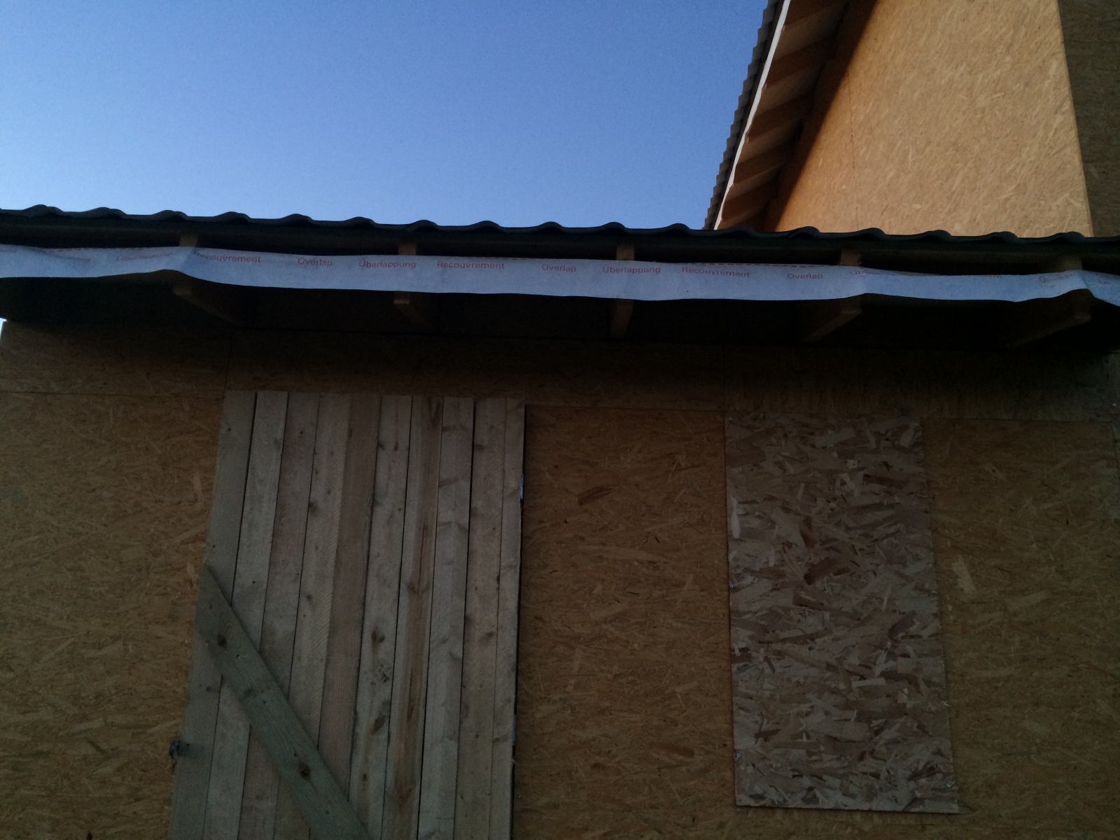 * Image 5