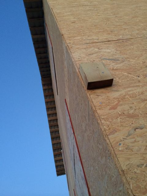* Image 3